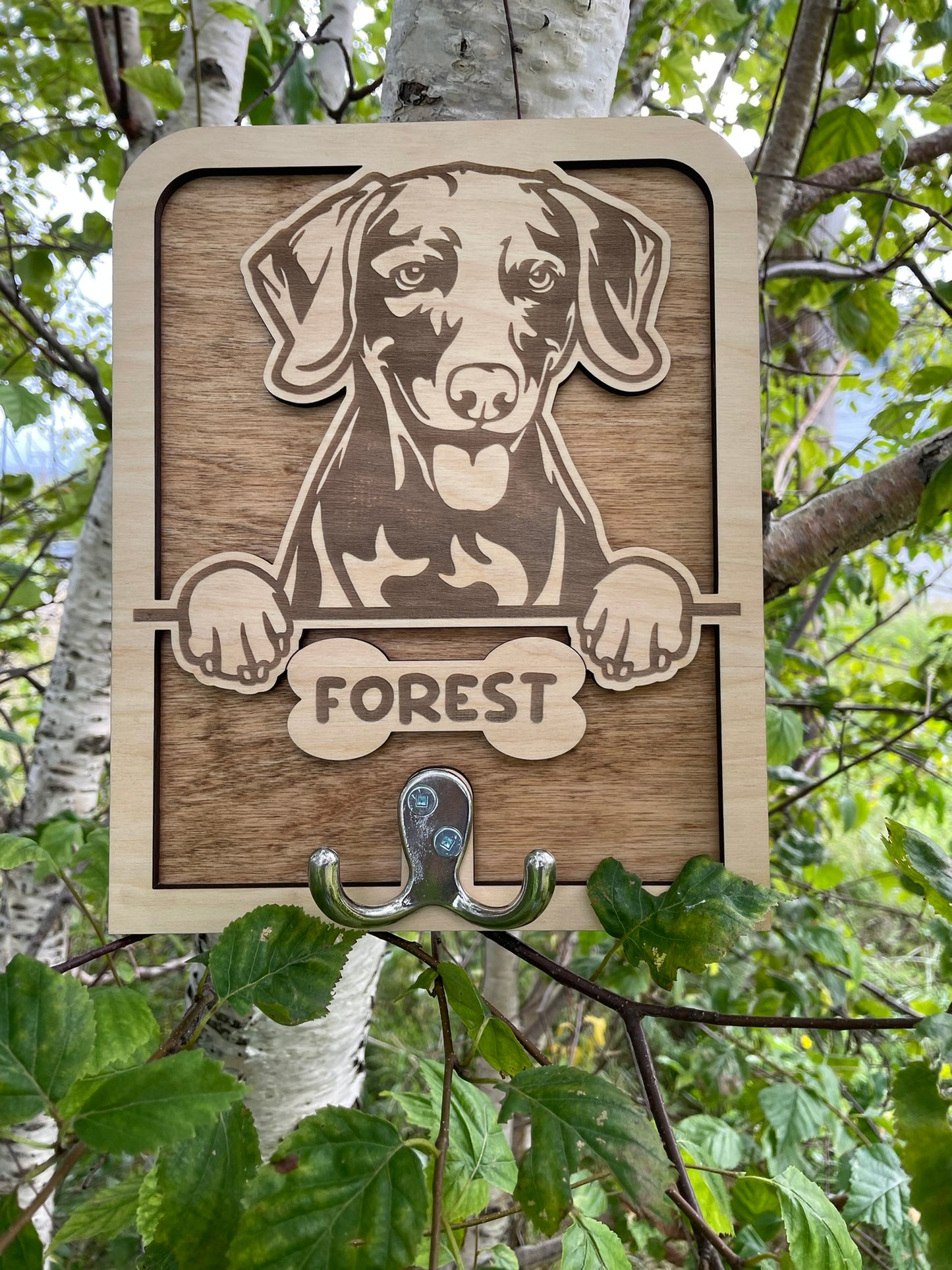 Dog leash holder