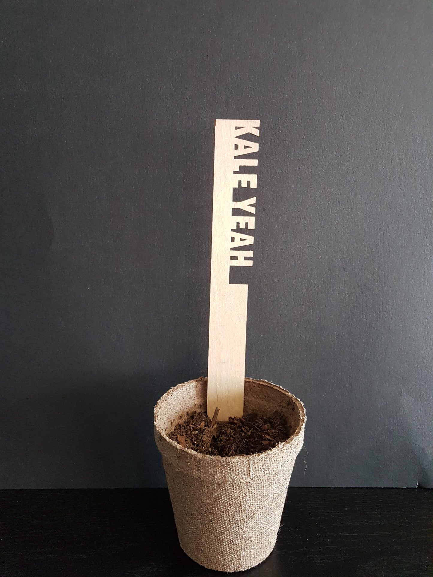 Funny Garden Marker