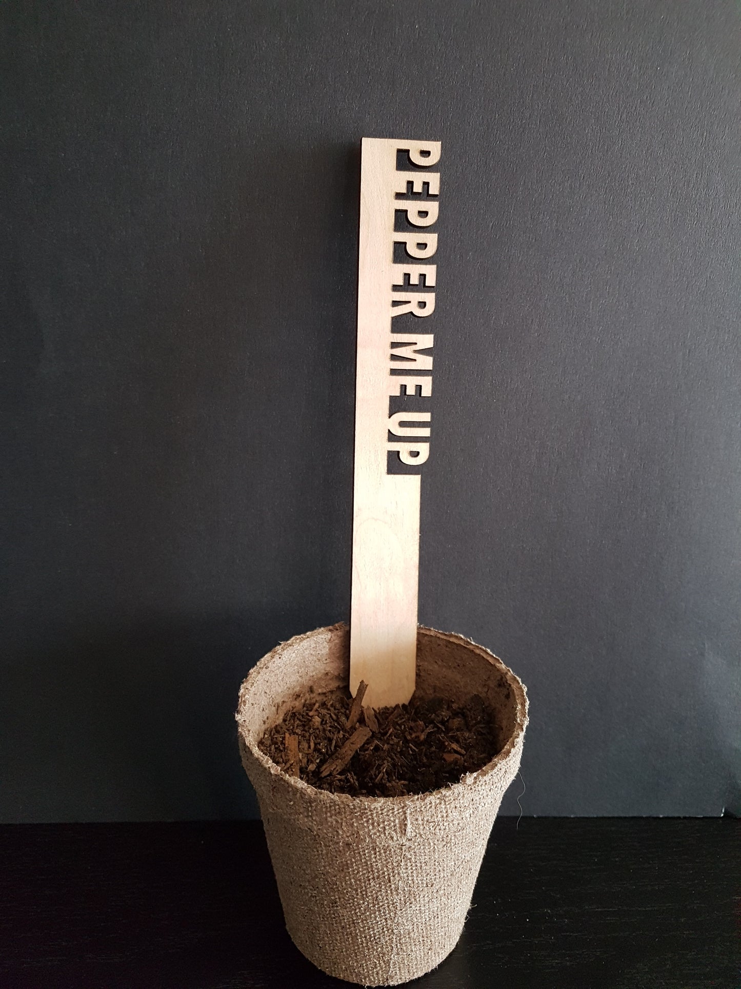 Funny Garden Marker