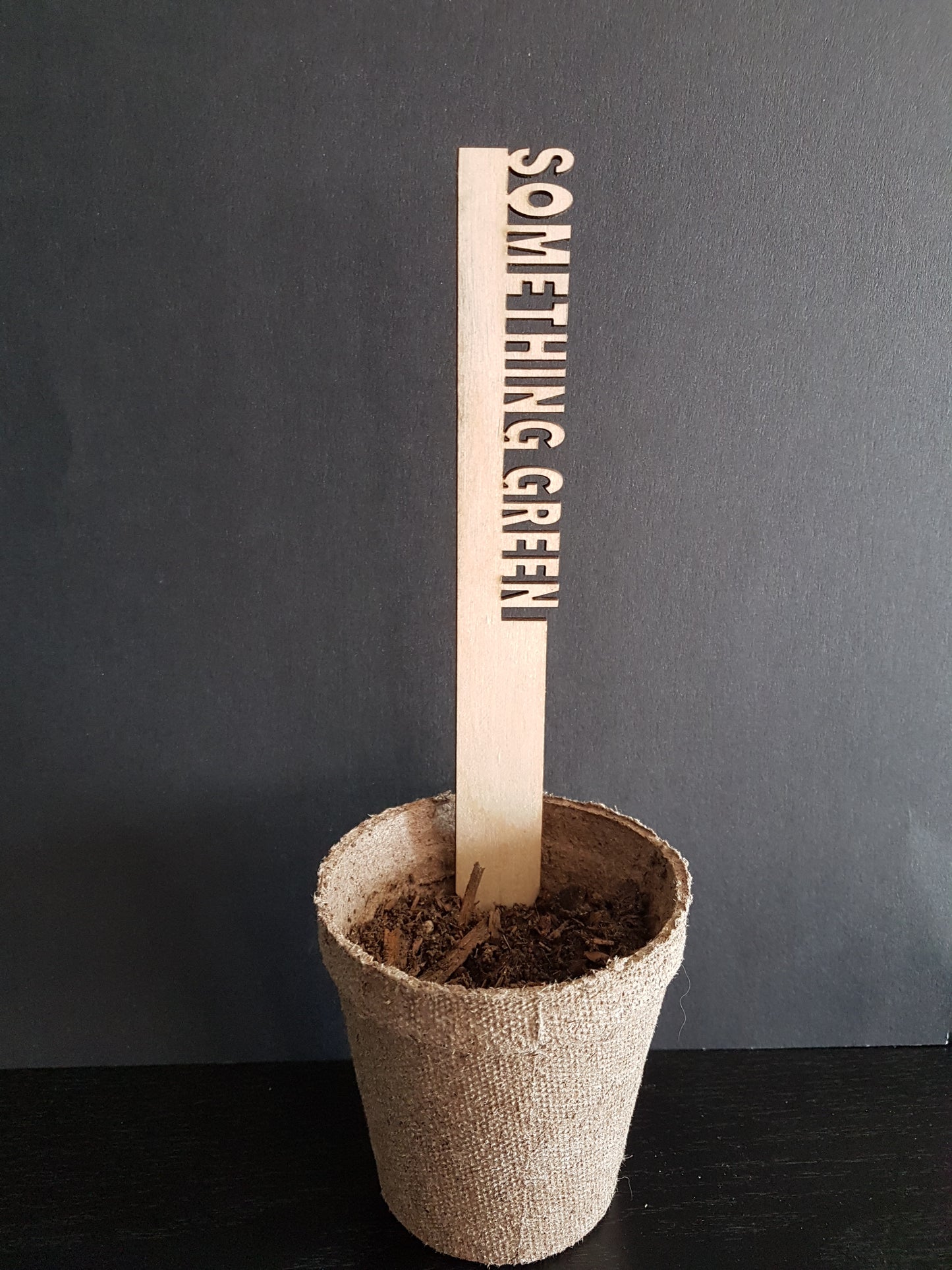 Funny Garden Marker