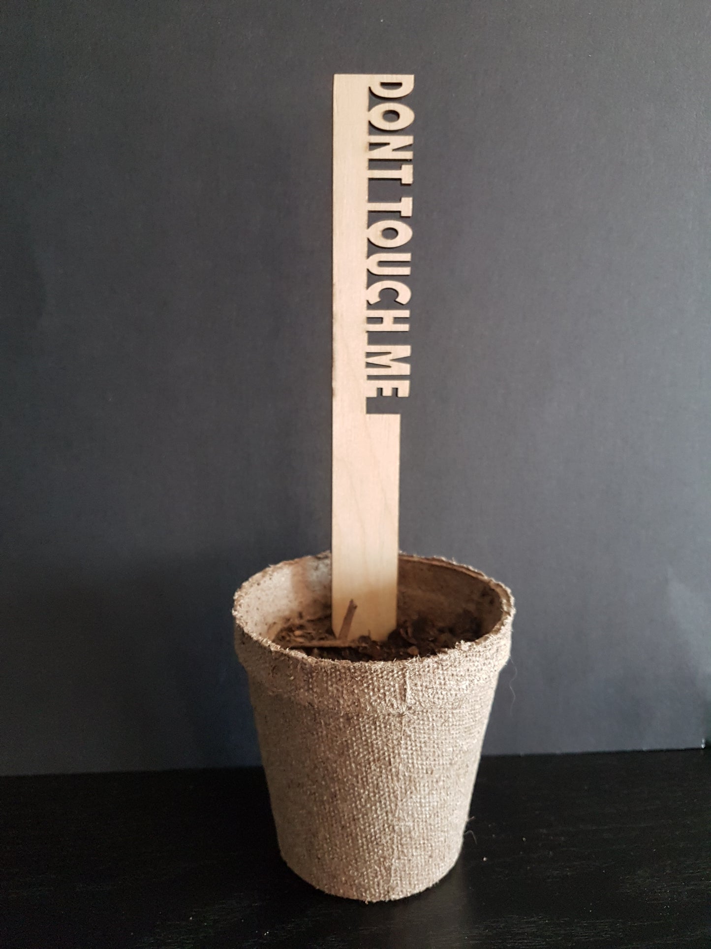Funny Garden Marker