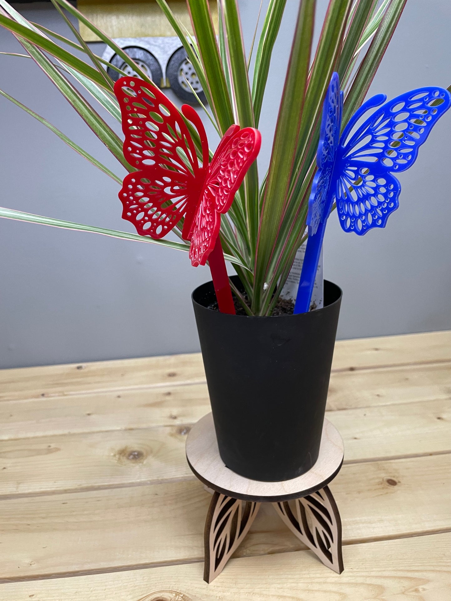 Butterfly plants decor