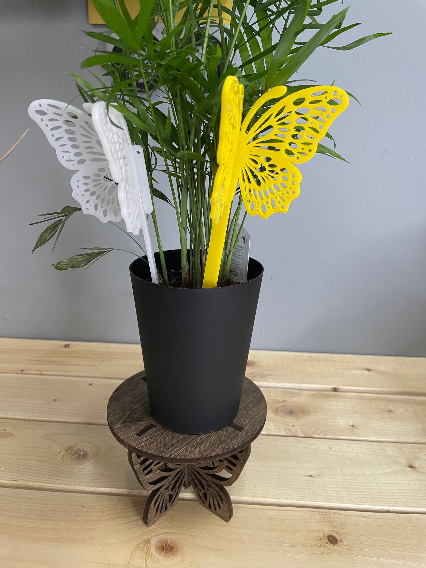 Butterfly plants decor