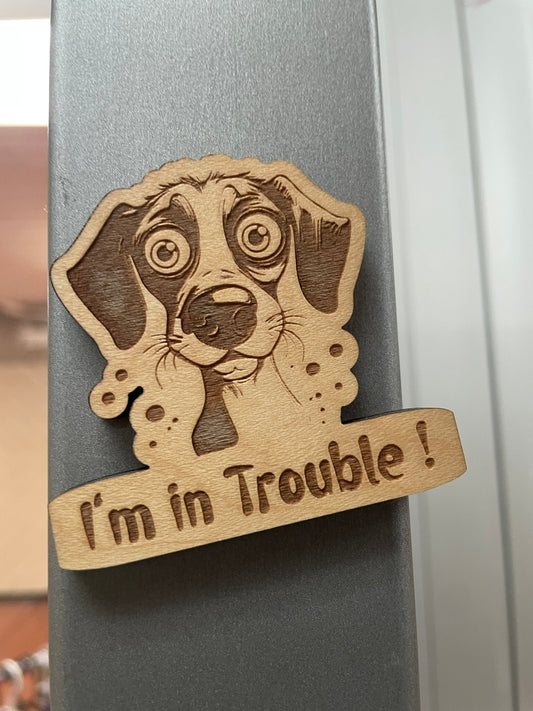 Pets Fridge Magnet