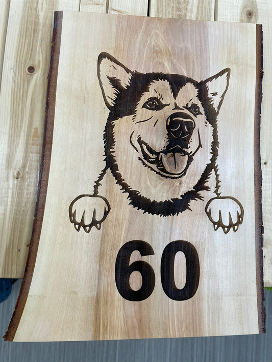 Custom Live Edge Wooden Home Address Sign – Personalized with Pet or Design