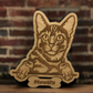 Personalized Cat Ornament