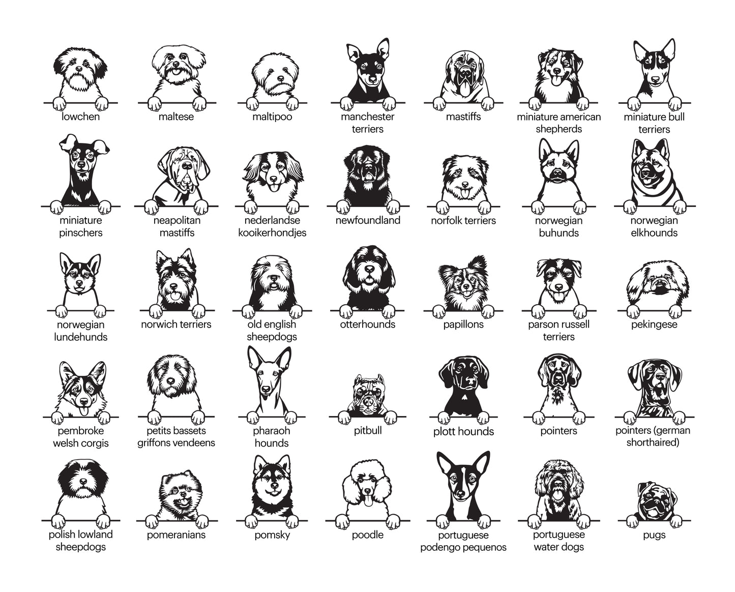 Custom Dog Breed Magnetic