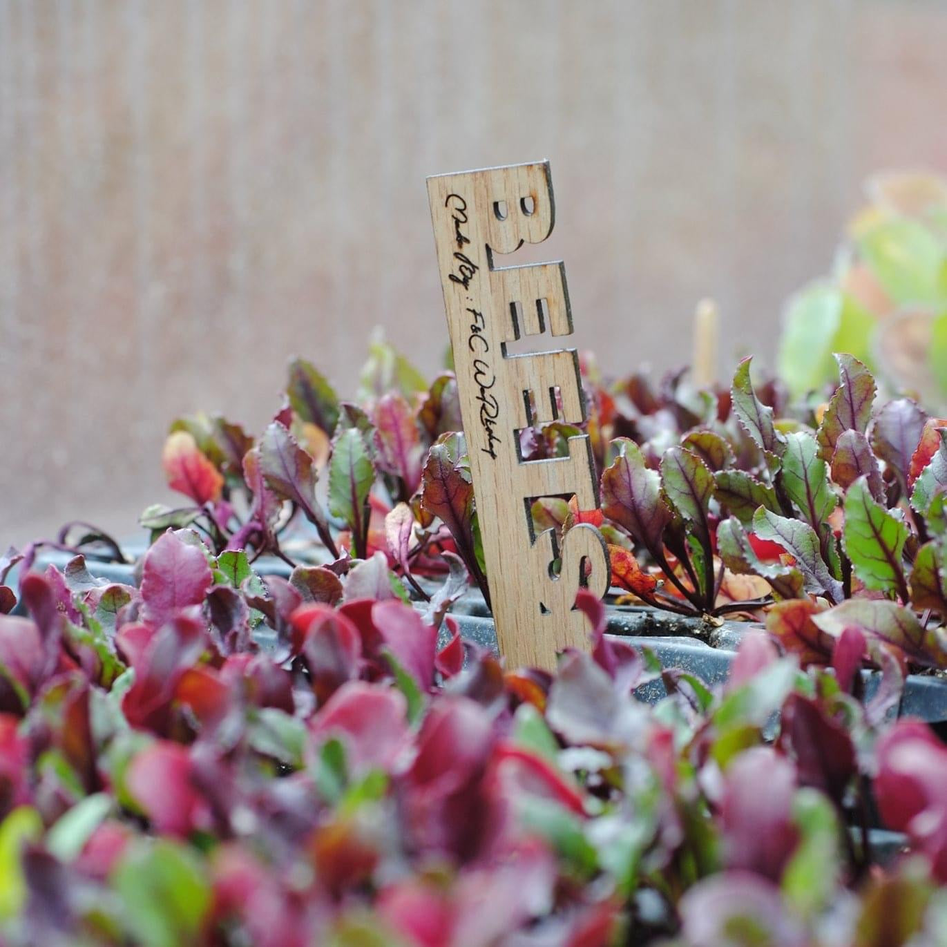 Garden markers